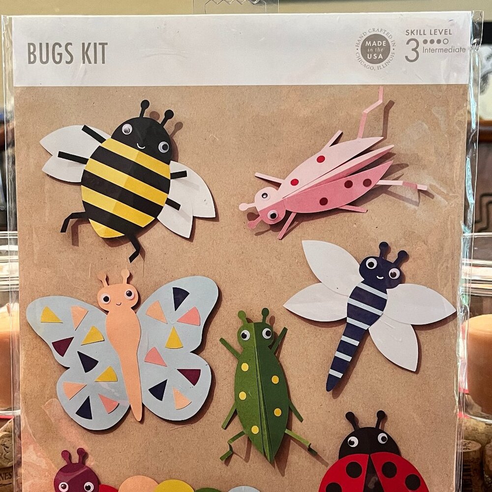 Bugs Kit - Craft Fun